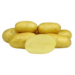 Картофель семенной КОЛЕТТЕ  Цена за 2 кг