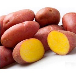 Картофель семенной РЕД СКАРЛЕТ  Цена за 2 кг